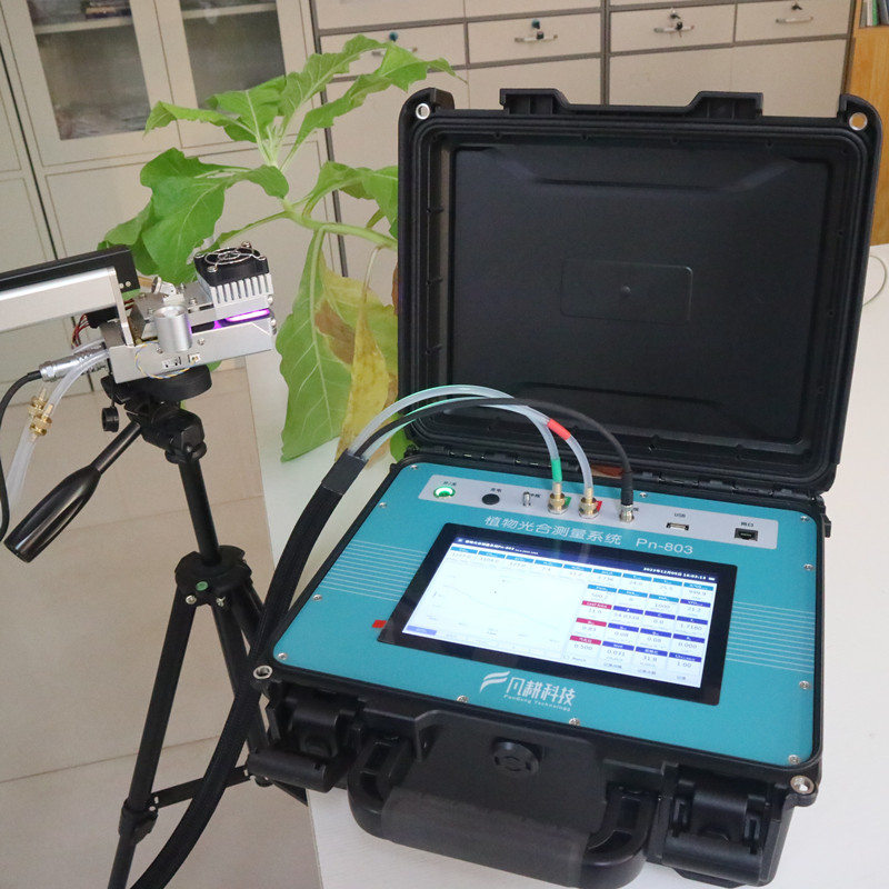 Pn-803植物光合測量系統